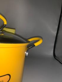 Mini friteuse en acier inoxyd 3L avec couvercle et filtre à huile